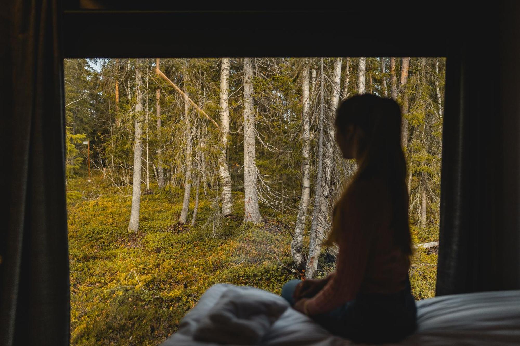 Vaattunki Wilderness Resort روفانييمي المظهر الخارجي الصورة